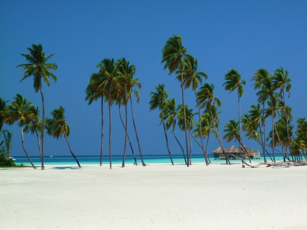 luxurytravelexpert:  #DailyInspiration: Gili Lankanfushi @GiliLankanfushi is one