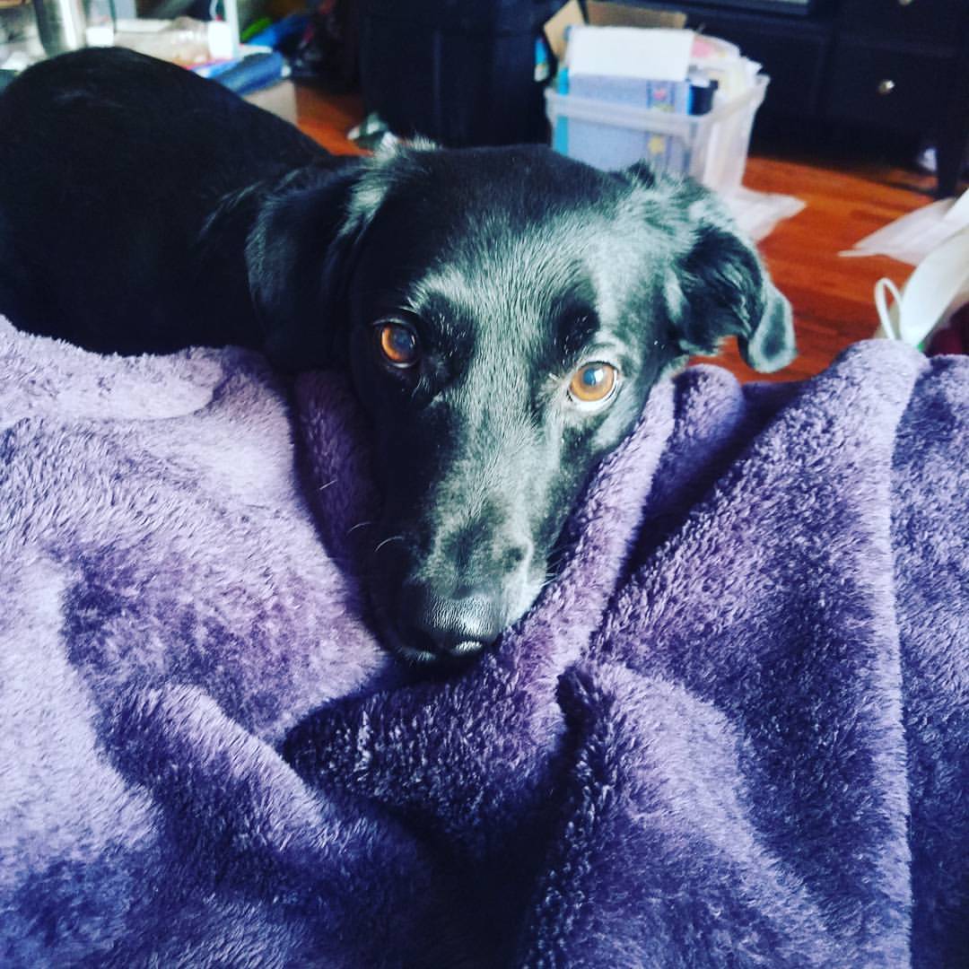 Stop begging &hellip;&hellip;and being cute.❤