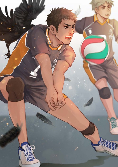 maorenc:  haikyuu!! 