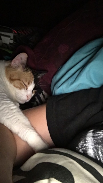 pls, she’s too precious(submitted by Jordan)