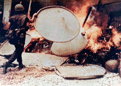 historylover1230:An American Soldier Burns a Home in My Lai, March 16, 1968