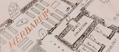 knockturnallley:Jim Kay’s illustration of The Marauder’s Map from the Illustrated Edition of Harry P
