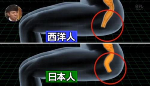 plasticdreams:  【驚愕】外人がすぐにお尻の穴でHする理由ｗｗｗｗｗｗｗｗｗｗｗｗｗｗｗｗｗｗ : ダメージ0   16: 風吹けば名無し＠＼(^o^)／ 2014/10/18(土) 11:18:20.65 ID:djGUBqSX.net ヨーロッパ系とでは肛門の入り口の向きが少し違うらしいやん