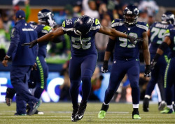 sportsblogging:  Your 2014 NFC conference Champions!  Seattle faces off against Denver in the Superbowl