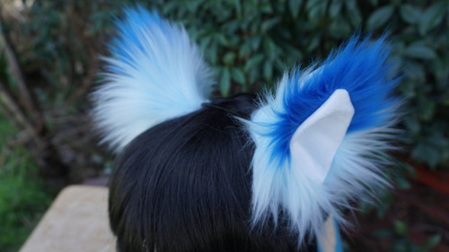  Cat/Fox Headband Ears A pretty blue commission! Love how the baby blue and cobalt blend together. S