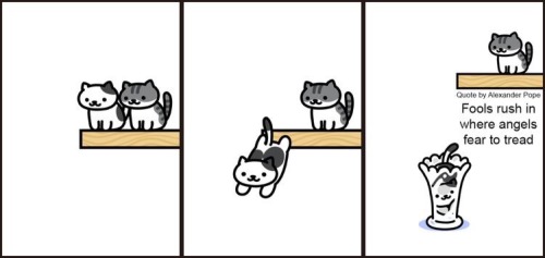 somagramme: Neko Atsume wisdom (pt. 2)