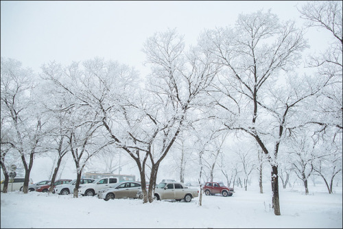 Car parking near Abakan airport, Khakassia, Russia. December 2013.