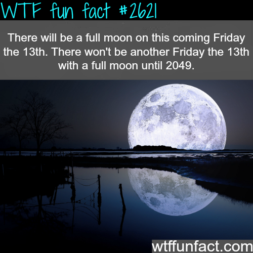 wtf-fun-factss:  Full Moon this Friday the 13th - WTF fun facts