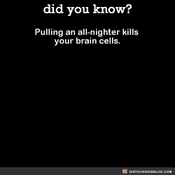 did-you-kno:  Pulling an all-nighter kills your brain cells.Source