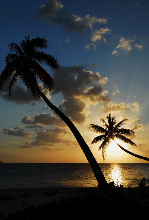 tropicaldestinations:  Mesmerising sunset in Wakatobi, Sulawesi, Indonesia (by Jenny) - Tropicaldest