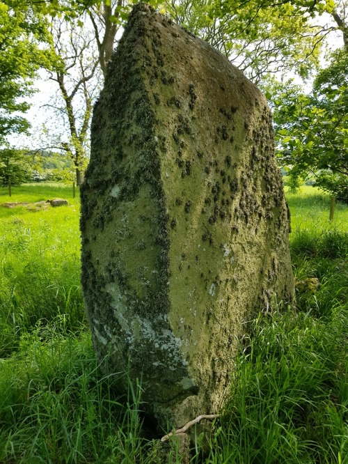 Berrybrae Recumbent Stone Circle, nr Fraserburgh,Scotland, 29.5.18. A beautifully located circle tha