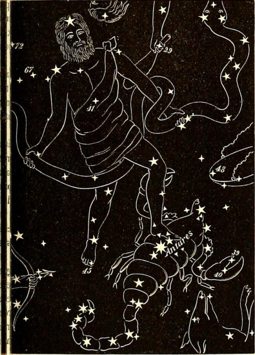 ConstellationsA constellation is a group of stars that are considered to form imaginary outlines or 