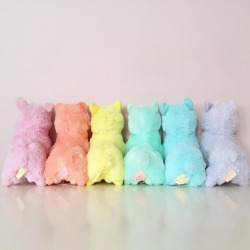 strawberrrryred:  tokittistore:  I finally have the right colors to make my Alpacasso rainbow! Hnnnnnggg!!!!  I don’t have any : (