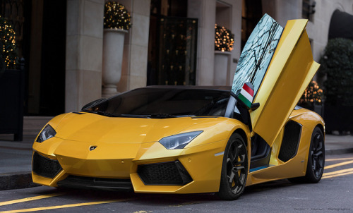 motorcyclesunited:  Lamborghini Aventador LP700-4 by Corentin Foucaut on Flickr.