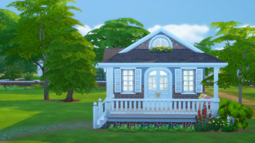 windyearth: flower 28,569$ l 20x30 l 1 bed 1 bath cc free Downloadorigin ID: Rahmax1 l Tray files