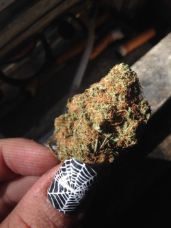 stoneybritt:  this nug is so pretty. 😍