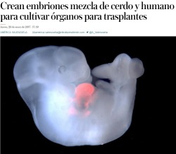 finofilipino:   Esto no es nuevo, hace unos años lo intentaron pero uno de los hembriones les germinó del todo. Una tonadillera lo adoptó y hace vida “normal”.   [Noticia] 