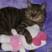 nendroidzz:so are you the cat or the hello kitty plush in the relationship?