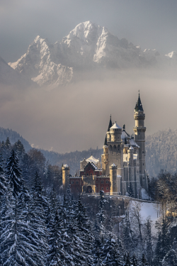 tulipnight:  Fairytale Country by Achim