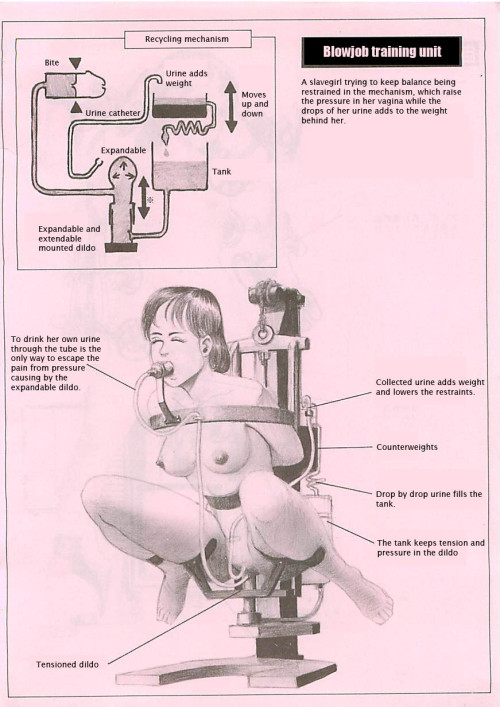 bdsmisfun:  The perfect machine  Brinquedo.