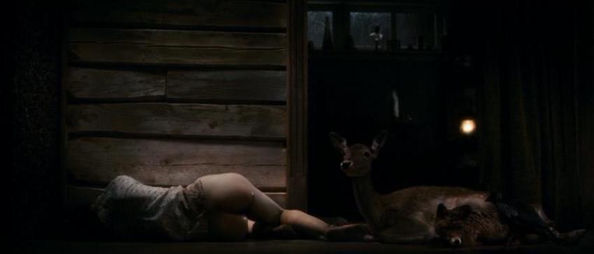 gspworld:  Some fantastic shots from Von Trier’s Antichrist. It is perhaps his