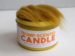 sosuperawesome: Trump-Scented Candle by JD and Kate Industries on Etsy   You don’t win anymore. You don’t win at buying candles, and you don’t win at having a nice-smelling home. But with a Trump-Scented candle, you will start winning again! (Just