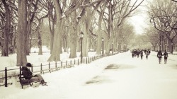 Simplymyview:  Man Reading A Book In Snow Covered Central Parka Day In The High 20’S