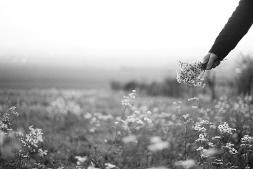 solitaria:  (by .nevara) 