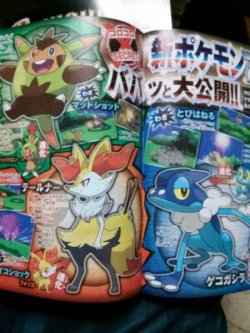 pokemon-xy-news:  starter evolutions! source: