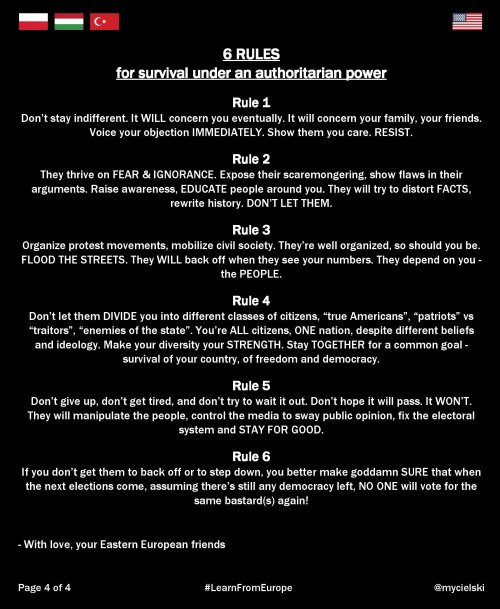 profeminist:The COMPLETE 4-page Guide to Surviving an Authoritarian Regime, in graphic form-With lov