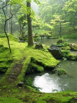 stephsmom93:  Bridges Park, Ireland 