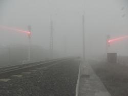 foggies:  ☹☹☹☹foggy☹☹☹☹