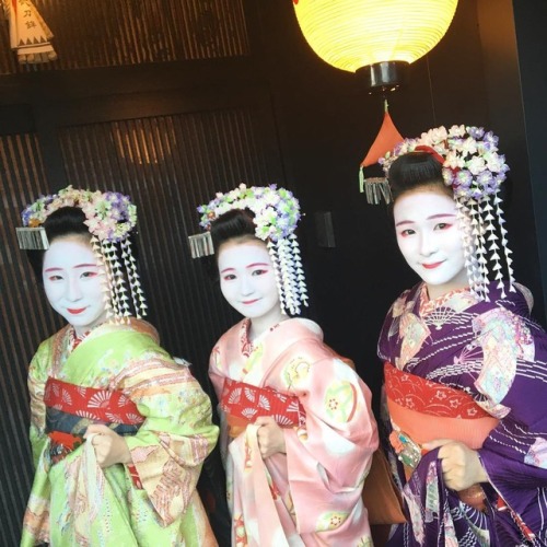 umeno-okiya: In front of Umeno okiya: Maiko Umehana with Minarai Umenana and Umesana (SOURCE)