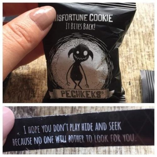 novelty-gift-ideas:Misfortune Cookies