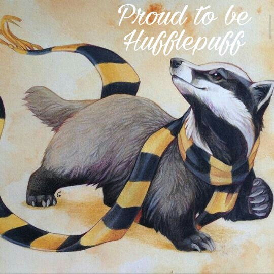 I am a proud Hufflepuff 💛