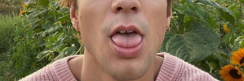 DANIEL SEAVEY HEADERS
