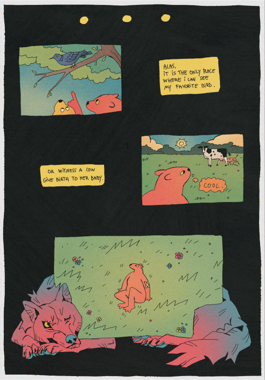 Tumblr media