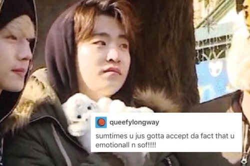 cutepimook: when will i stop