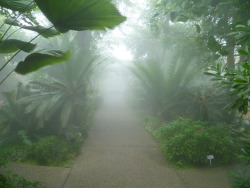 quiet-nymph: Botanical Garden – © All