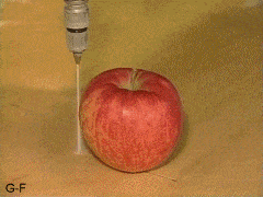 supernatural-who-lock:  water jet cutting an apple in half 