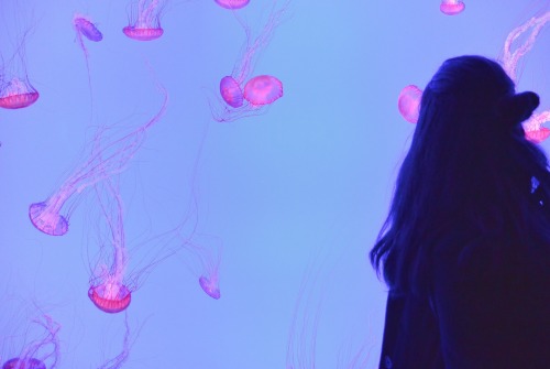 nina with the jellies! @scullysgay