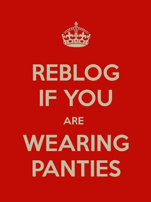 pantywearinghusband: thejoannacdblog: sissydonna: sissydonna: sissyfemminuccia: What else should