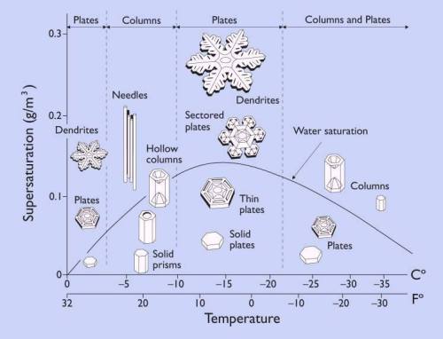 sagansense: “Mathematics reveal - and perhaps are - the great underpinnings of nature responsi