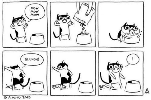 actyourshoesizegirl: the-awesome-quotes: Funny Comics Reveal The Reality Of Owning A Cat Cat lady 10