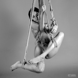 acordesetacris:  Shibari