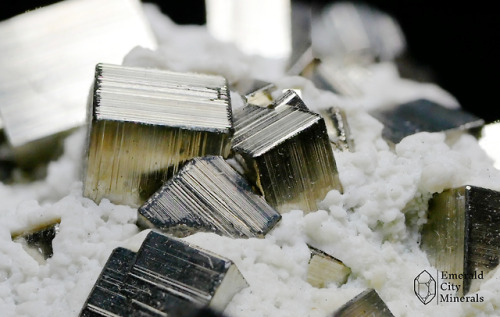 emeraldcityminerals: Brass colored striated cubes of pyrite (FeS2) stuck in a matrix of quartz. From