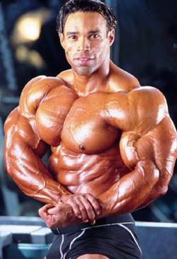 drwannabe:  Kevin Levrone