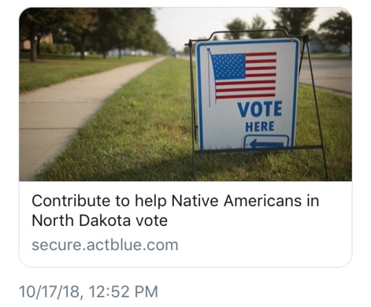 snarksandkisses:  marvelsmostwanted:  marvelsmostwanted:   Please help if you can! Republicans are actively suppressing the Native American vote. Their voices should be heard in North Dakota. Help out: https://secure.actblue.com/donate/dkndnativevote