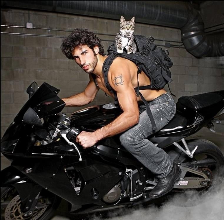 genesis950:  Hot Guys With Cats! 