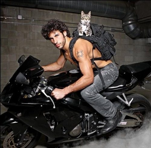 Sex genesis950:  Hot Guys With Cats!  pictures